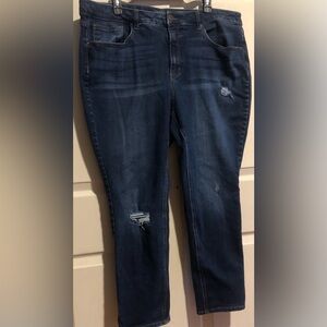 Women’s Time and Tru skinny jeans with stretchy materials size 20